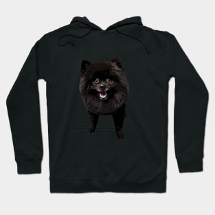 Pomeranian Black Beauty Hoodie